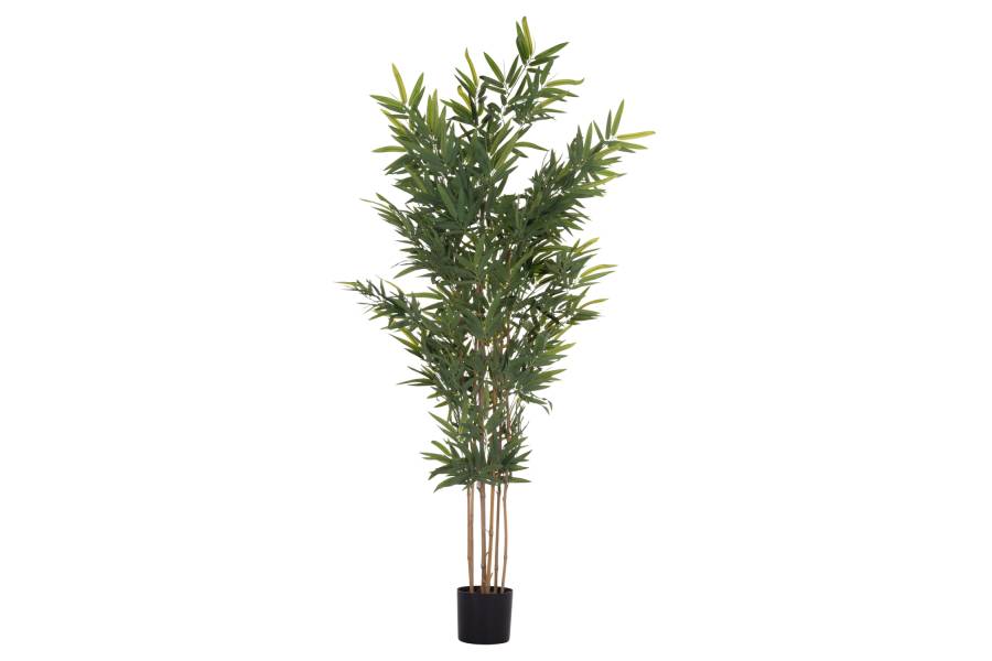 ΔΙΑΚΟΣΜΗΤΙΚΟ ΣΥΝΘΕΤΙΚΟ ΦΥΤΟ HM4736 BAMBOO ΣΕ ΓΛΑΣΤΡΑ 20x95x180Υεκ.