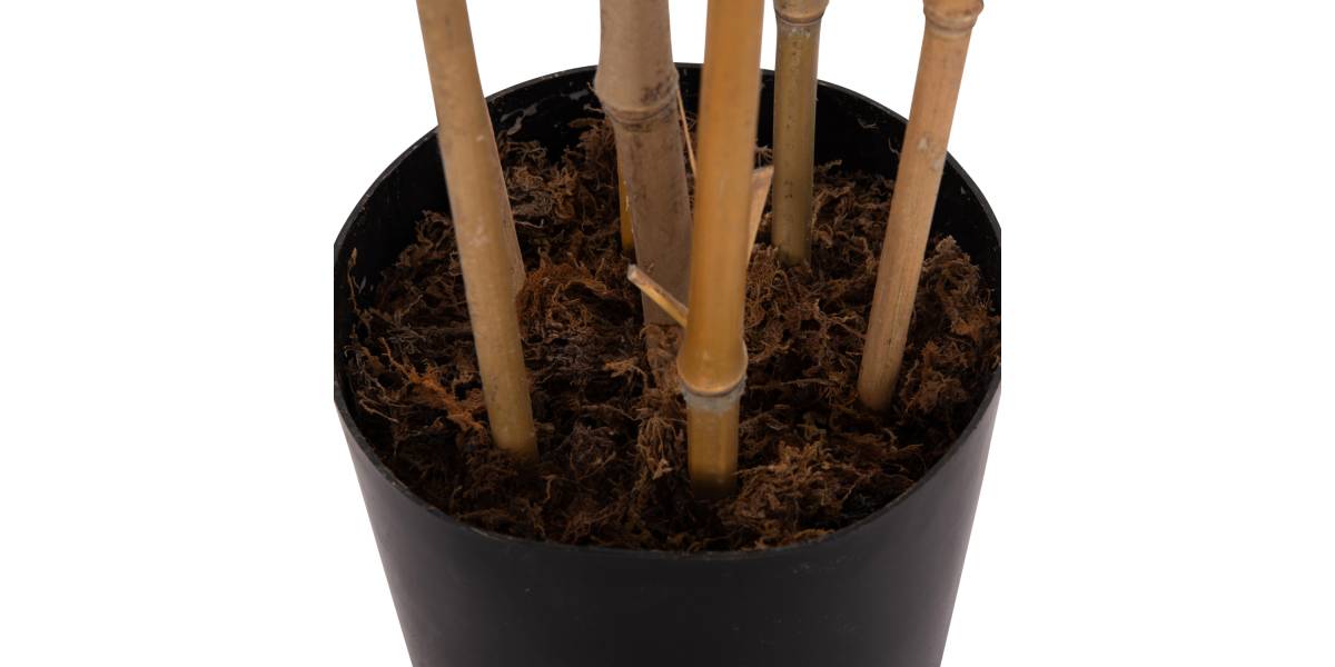 ΔΙΑΚΟΣΜΗΤΙΚΟ ΣΥΝΘΕΤΙΚΟ ΦΥΤΟ HM4736 BAMBOO ΣΕ ΓΛΑΣΤΡΑ 20x95x180Υεκ.