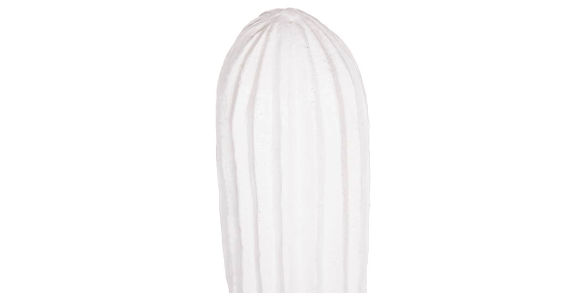 ΔΙΑΚΟΣΜΗΤΙΚΟΣ ΚΑΚΤΟΣ ΔΑΠΕΔΟΥ CACTUS HM4386.02L ΓΥΨΟΣ ΣΕ ΛΕΥΚΟ 63x37x150Υεκ.