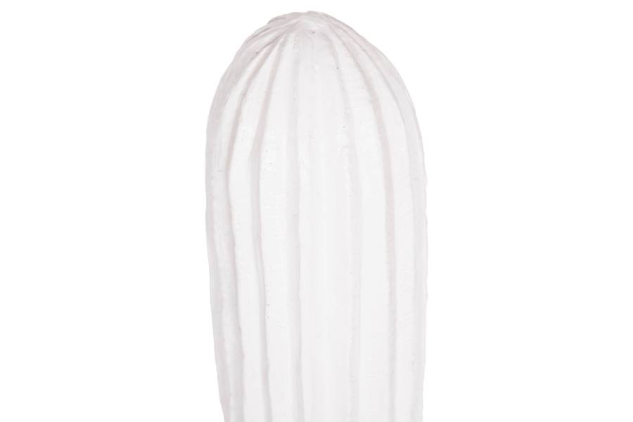 ΔΙΑΚΟΣΜΗΤΙΚΟΣ ΚΑΚΤΟΣ ΔΑΠΕΔΟΥ CACTUS HM4386.02L ΓΥΨΟΣ ΣΕ ΛΕΥΚΟ 63x37x150Υεκ.