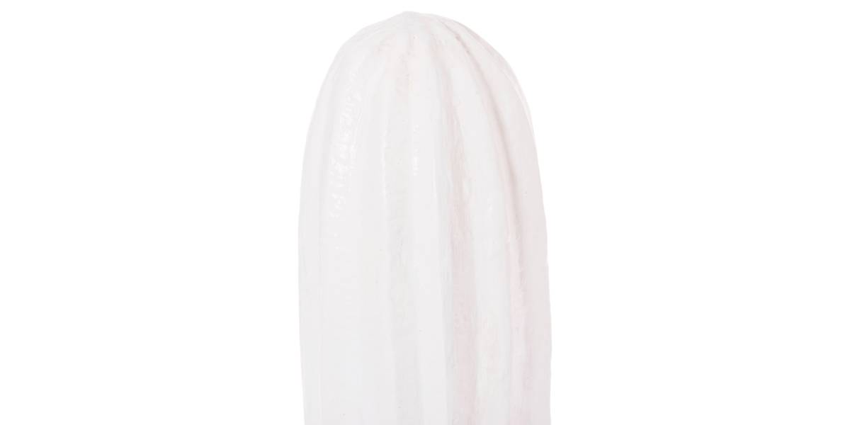 ΔΙΑΚΟΣΜΗΤΙΚΟΣ ΚΑΚΤΟΣ ΔΑΠΕΔΟΥ CACTUS HM4386.02S ΓΥΨΟΣ ΣΕ ΛΕΥΚΟ 42x30x74Υεκ