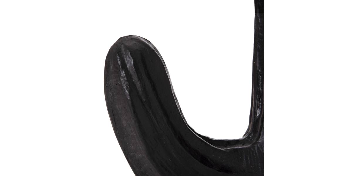 ΔΙΑΚΟΣΜΗΤΙΚΟΣ ΚΑΚΤΟΣ ΔΑΠΕΔΟΥ CACTUS HM4386.01S ΓΥΨΟΣ ΣΕ ΜΑΥΡΟ 42x30x74Υεκ.